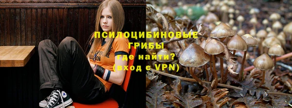 скорость Бронницы