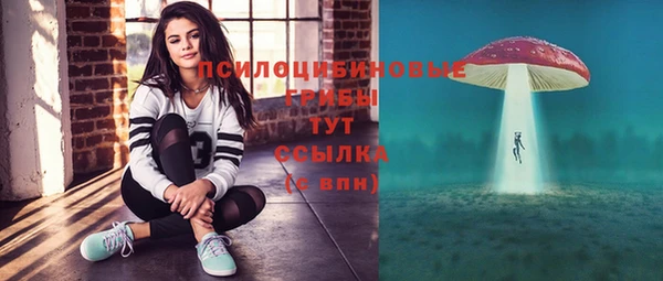 альфа пвп Богородицк