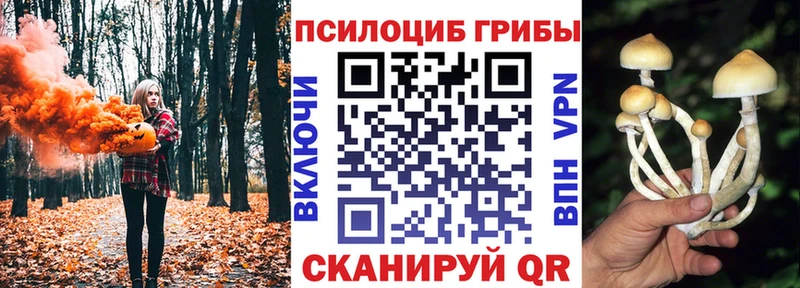 Галлюциногенные грибы Cubensis  Туапсе 